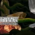 单机游戏《大师之眼 The Masters Pupil》中文版下载