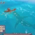 单机游戏《漂流品 Flotsam》中文版下载v0.7.3e4