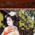 switch游戏《日本女性动态拼图》中文版xci下载