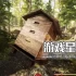 单机游戏《森林管理员模拟器/Forest Ranger Simulator》中文版下载