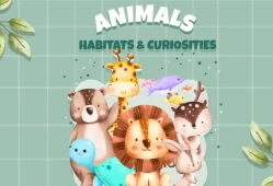 【儿童故事】switch游戏《动物 - 栖息地和好奇心 Animals - Habitats and Curiosities》英文版nsp下载