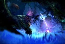 单机游戏《奥日与迷失森林 Ori and the Blind Forest》免安装中文版下载（整合3号升级）