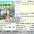 【合集】switch游戏《皮克敏全系列》4部作品合集XCI整合版下载【含最新补丁+DLC】
