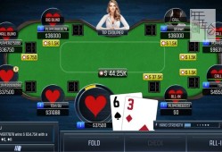 switch游戏《扑克冠军：德州扑克 Poker Champion: Texas Hold'em》英文版nsp/xci下载