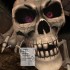 【单机游戏】《闹鬼地牢：百鬼城Haunted Dungeons: Hyakki Castle》免安装v2.0.0绿色官方简繁中文版 下载