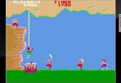 switch游戏《海盗皮特 Arcade Archives PIRATE PETE》英文版nsp/xci下载