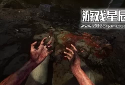 switch游戏《失忆症合集 Amnesia Collection》中文汉化版下载【含1.1补丁+汉化补丁】