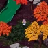 switch游戏《东方苍神缘起V+东方幻想魔录W双重包》日文版XCI下载