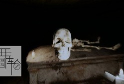 【单机游戏】《帕尔米拉孤儿院（Palmyra Orphanage）》免安装绿色中文版 下载