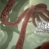 单机游戏《探寻未知/Chasing the Unseen》中文版下载v1.1.0