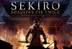 PC游戏《只狼：影逝二度 Sekiro: Shadows Die Twice》中文版下载 v1.06