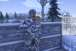 switch游戏《猎鸭挑战赛 Duck Hunting Challenge》英文版nsp+xci下载