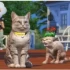 模拟人生4 猫与狗 单机游戏中文版下载