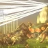 switch游戏《地球防卫军2 Earth Defense Force 2》港版中文nsp下载【含1.0.5+25DLC】