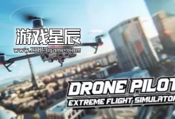 switch游戏《无人机在线飞行模拟器/Drone Flight Simulator》中文版nsz下载