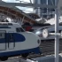单机游戏《狂热运输1+2 Transport Fever 2》免安装中文版下载【v35313版|集成全DLC】