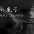 PC游戏《小兔子 Tiny Bunny》中文版下载 v20251221