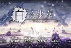 switch游戏《白之少女 White Girl》中文版nsp/xci整合版下载【含1.1.8补丁】