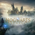 switch游戏《霍格沃茨之遗 Hogwarts Legacy》中文版下载 v1.0.4补丁+4DLC整合版+金手指