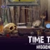 switch游戏《时间陷阱：隐藏对象（Time Trap: Hidden Objects）》中文版nsz下载+1.2.0补丁