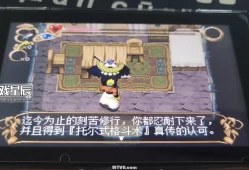 【SS转switch游戏】switch游戏《光之继承者2 精灵王纪传》中文汉化版nsp下载+金手指
