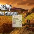 【原版+魔改9.2】switch游戏《模拟林业 Forestry The Simulation》英文版nsp/xci下载