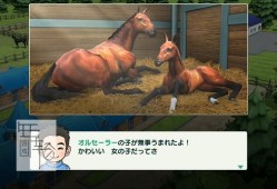 switch游戏《德比赛马 Derby Stallion》日文版nsp/xci下载【1.1.2补丁】