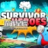 switch游戏《幸存者英雄（SURVIVOR HEROES）》英文版nsp下载+1.0.1补丁