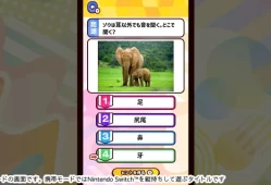 switch游戏《知识测验 世界各地的动物 ものしりクイズ 世界のどうぶつ》日文版nsp下载