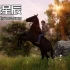 【5.05】PS4游戏《风暴：意外的到来 Windstorm: An Unexpected Arrival》英文版PKG下载+1.04补丁