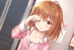 switch游戏《星光旋律梦想家 Star Melody Yumemi Dreamer》中文版xci/nsp下载【含补丁+DLC】