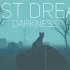 switch游戏《失落的梦想黑暗 Lost Dream Darkness》英文版nsp下载