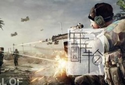 【单机游戏】《荣誉勋章：战士MedalofHonor:Warfighter》官方繁体中文免安装绿色版下载