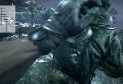 【单机游戏】《狙击手：幽灵战士3Sniper: Ghost Warrior 3》免安装简体中文绿色版[v1.01版_整合BALDMAN免DVD补丁_官方中文] 下载