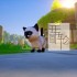 switch游戏《小猫快跑 终极挑战 Cat Go! Ultimate Challenge》中文版nsp/xci下载