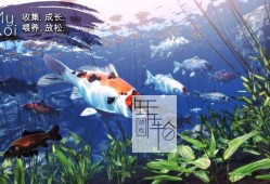 单机游戏《我的锦鲤 My Koi》免安装中文版下载