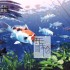 单机游戏《我的锦鲤 My Koi》免安装中文版下载