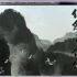 【DOSBOX完美整合】3000多个经典DOS游戏合集下载