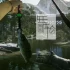 单机游戏《终极钓鱼模拟（Ultimate Fishing Simulator）》中文版下载【v2.3.24.02.141版|集成全DLC】