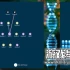单机游戏《生态位：遗传学生存游戏 Niche - a genetics survival game》中文版下载v1.2.10