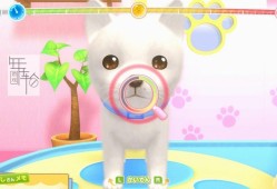 switch游戏《Pups & Purrs 动物医院 Pups and Purrs Animal Hospital》英文版nsp/xci下载