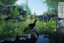 单机游戏《兔子草场 Rabbit Meadow》英文版下载