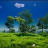 [单机游戏]《我的海岛 My Island》中文版下载