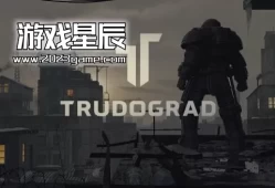 switch游戏《核爆RPG：特鲁多格勒/ATOM RPG Trudograd》中文版nsz下载【1.0.59补丁+2DLC】