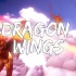 switch游戏《龙翼 Dragon Wings》英文版nsp下载
