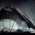 switch游戏《空洞骑士 Hollow Knight》中文版nsz下载【含1.4.3.2b补丁】