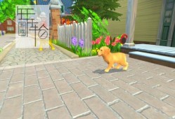 单机游戏《我的领域：小狗和小猫 My Universe - Puppies & Kittens》中文版下载