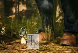 【单机游戏】《羊肚菌：狩猎游戏Morels: The Hunt》免安装绿色中文版[6.4G]下载