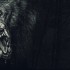 狼人之末日怒吼：地灵之血 Werewolf: The Apocalypse Earthblood 单机游戏免安装中文版下载