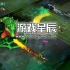 switch游戏《忍者神龟：斯普林特的命运》中文版XCI整合版下载【含1.1.1补丁+金手指+画质MOD】